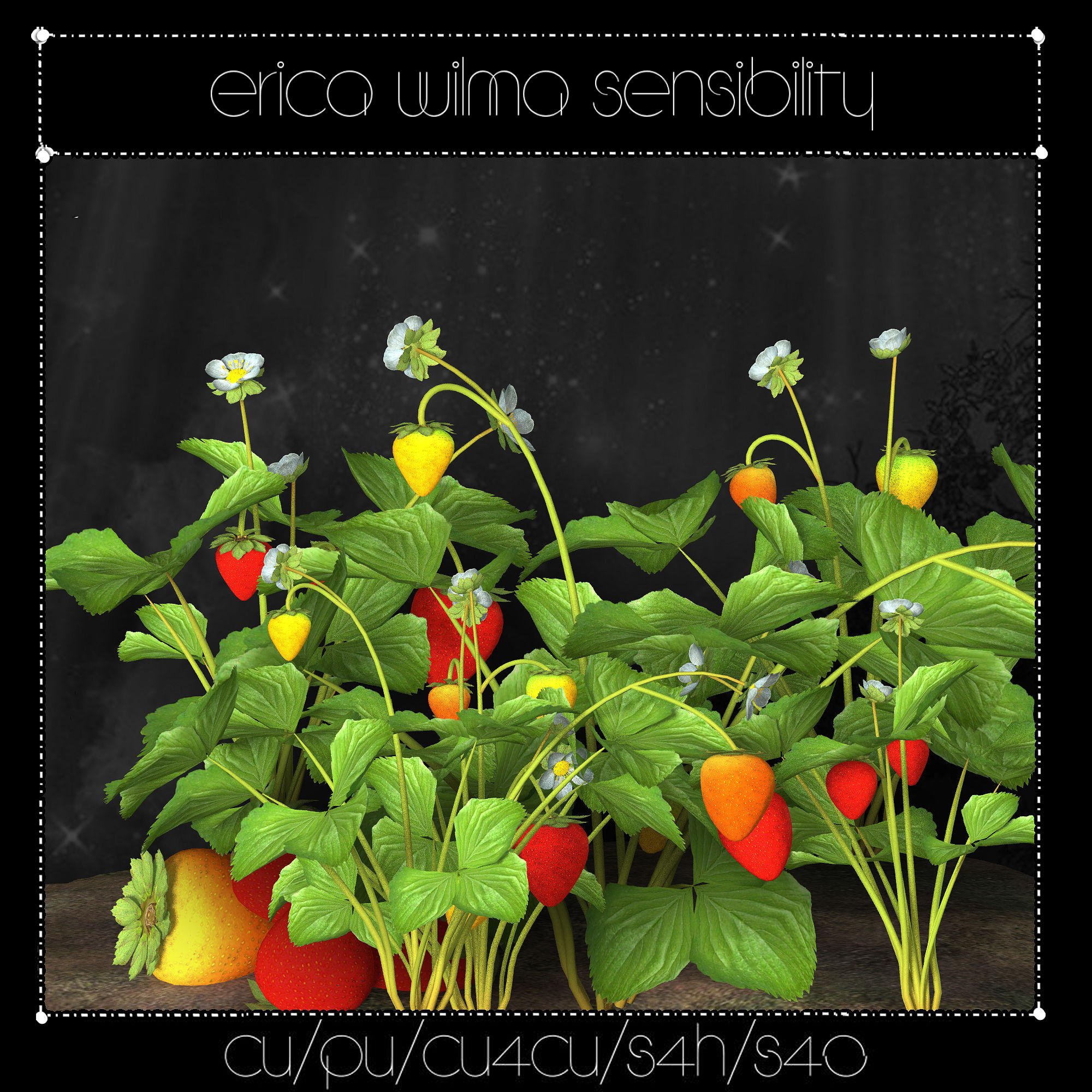 (image for) EW Strawberriesplants